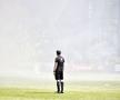 Atmosfera de la Petrolul - Steaua / Sursă foto: Cristi Preda (GSP)