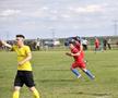 AFC Iazu - Unirea Scânteia