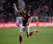 Rapid - CFR Cluj, epilogul rundei #6 din play-off, imagini din meci