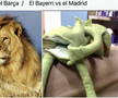 Cele mai tari meme-uri după Bayern Munchen - Real Madrid