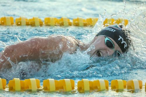 Katie Ledecky înotând în proba de 1.500 m liber Foto: Imago Images