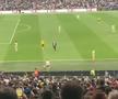 Suporter intrat pe teren la Dortmund - Real
