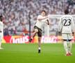 Suporter intrat pe teren la Dortmund - Real