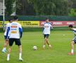 Antrenament România 1 iunie / Foto: Cristi Preda (GSP)