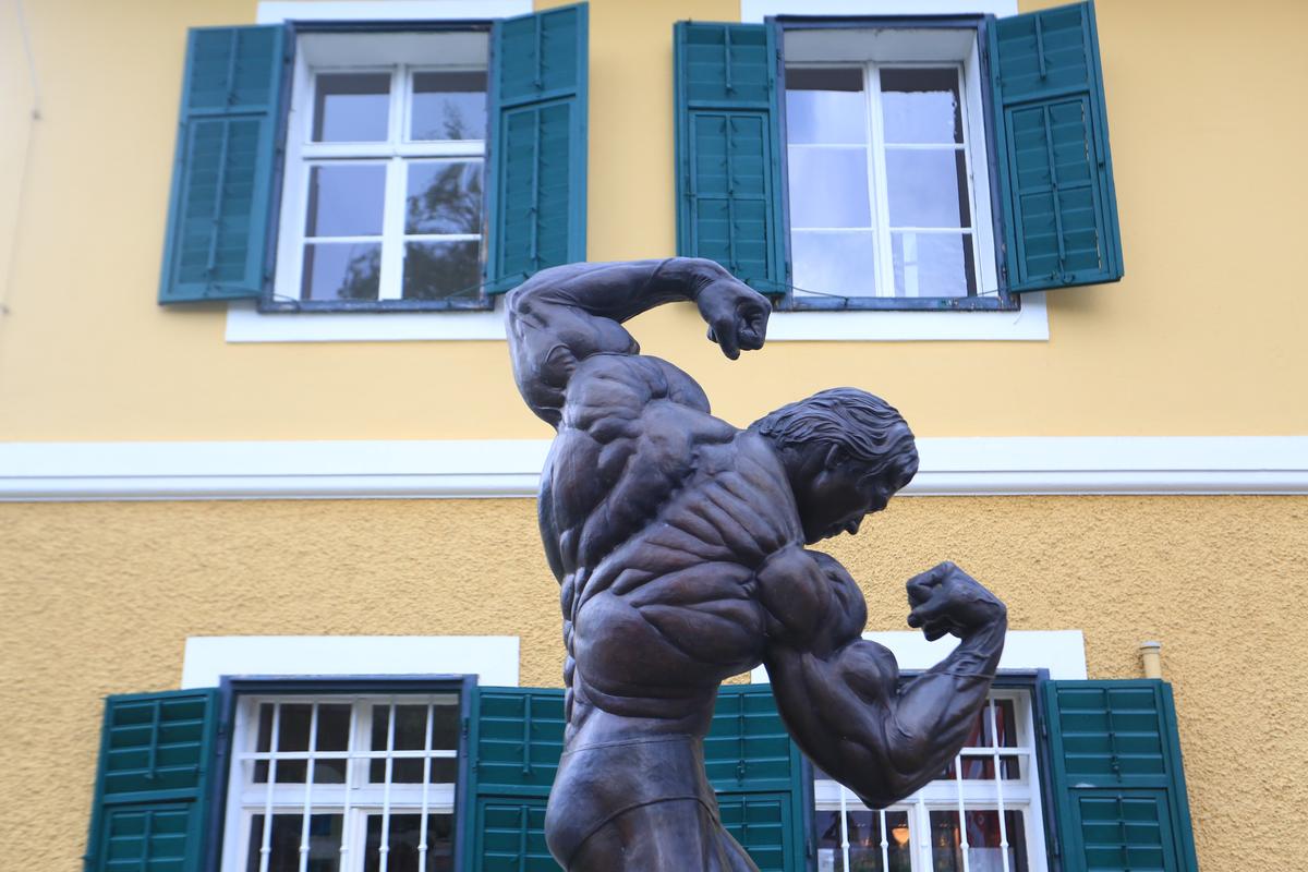 Acasă la Arnold Schwarzenegger 1