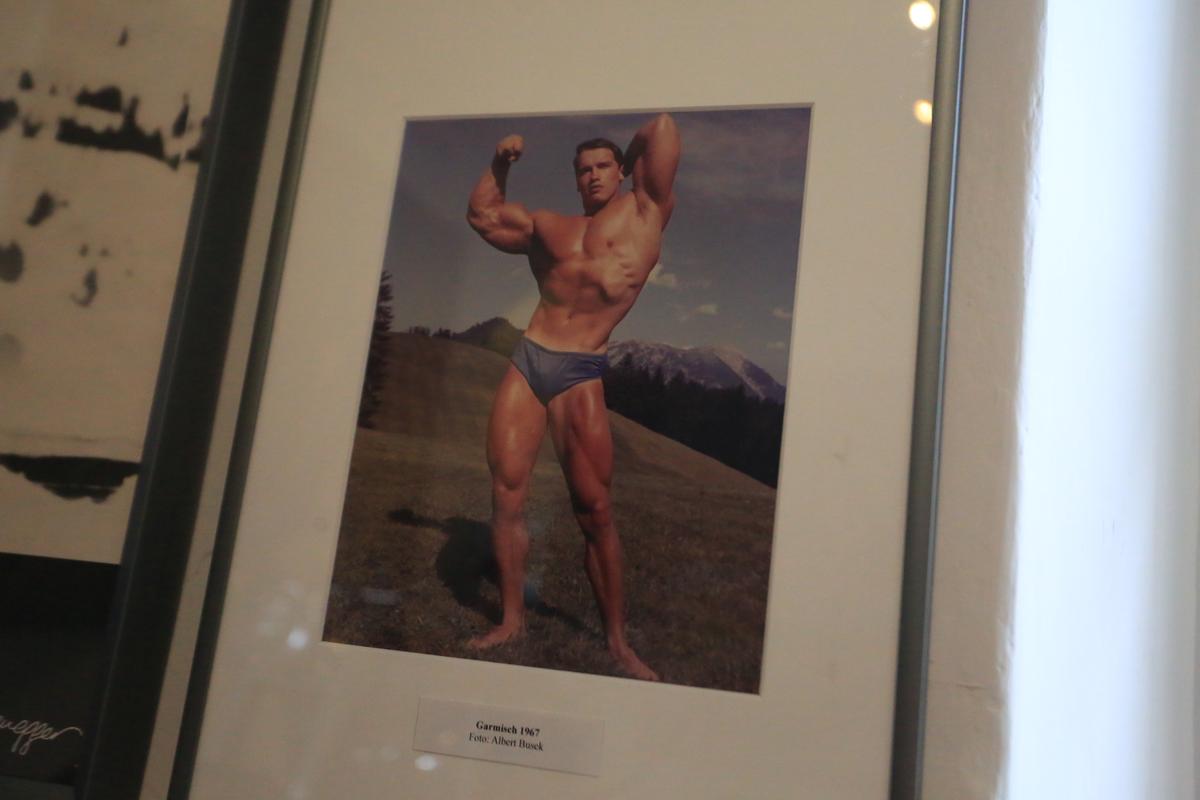 Acasă la Arnold Schwarzenegger 1