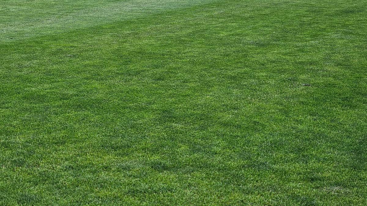 Înainte de FC Voluntari - Hermannstadt, 1 iunie 2025