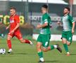 FCSB - Concordia Chiajna 4-1 (amical)