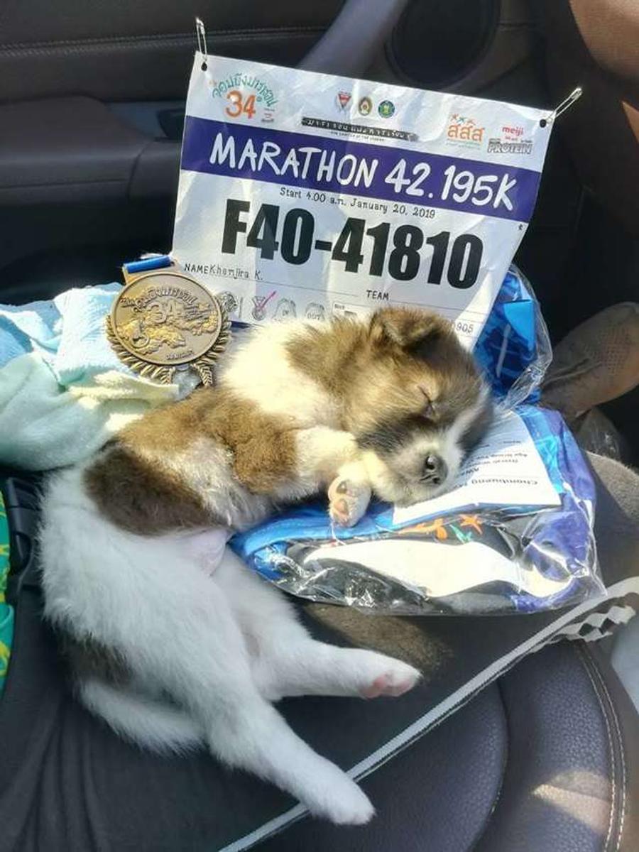 Marquez, voință mai puternică decât titanul, Coentrao și-a găsit fericirea după retragere + Maratonul salvării pentru un cățeluș