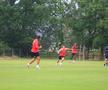 Djokovic inter, Băluță jolly joker » Ultimele noutăți de la antrenamentele FCSB