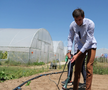 Ciprian Tătăruşanu s-a lansat în agricultură. GSP.RO a vizitat cooperativa agricolă „Din Grădina Noastră BIO”, din comuna Conțești. Foto: Andrei Crăițoiu