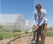 Ciprian Tătăruşanu s-a lansat în agricultură. GSP.RO a vizitat cooperativa agricolă „Din Grădina Noastră BIO”, din comuna Conțești. Foto: Andrei Crăițoiu