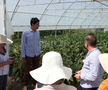 Ciprian Tătăruşanu s-a lansat în agricultură. GSP.RO a vizitat cooperativa agricolă „Din Grădina Noastră BIO”, din comuna Conțești. Foto: Andrei Crăițoiu