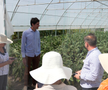 Ciprian Tătăruşanu s-a lansat în agricultură. GSP.RO a vizitat cooperativa agricolă „Din Grădina Noastră BIO”, din comuna Conțești. Foto: Andrei Crăițoiu