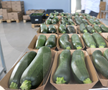 Ciprian Tătăruşanu s-a lansat în agricultură. GSP.RO a vizitat cooperativa agricolă „Din Grădina Noastră BIO”, din comuna Conțești. Foto: Andrei Crăițoiu