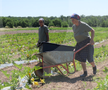 Ciprian Tătăruşanu s-a lansat în agricultură. GSP.RO a vizitat cooperativa agricolă „Din Grădina Noastră BIO”, din comuna Conțești. Foto: Andrei Crăițoiu