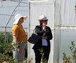 Ciprian Tătăruşanu s-a lansat în agricultură. GSP.RO a vizitat cooperativa agricolă „Din Grădina Noastră BIO”, din comuna Conțești. Foto: Andrei Crăițoiu