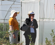 Ciprian Tătăruşanu s-a lansat în agricultură. GSP.RO a vizitat cooperativa agricolă „Din Grădina Noastră BIO”, din comuna Conțești. Foto: Andrei Crăițoiu