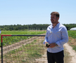Ciprian Tătăruşanu s-a lansat în agricultură. GSP.RO a vizitat cooperativa agricolă „Din Grădina Noastră BIO”, din comuna Conțești. Foto: Andrei Crăițoiu