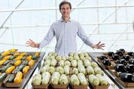 „Din 2020 sunt agricultor” » Ciprian Tătărușanu a lăsat fotbalul pentru dovlecei, zucchini și vinete bio! Fostul portar și-a prezentat afacerea: „Așa trebuie să fie leguma perfectă”