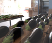 Ciprian Tătăruşanu s-a lansat în agricultură. GSP.RO a vizitat cooperativa agricolă „Din Grădina Noastră BIO”, din comuna Conțești. Foto: Andrei Crăițoiu