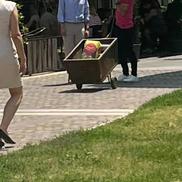 Căruțul buclucaș cu care a fost surprins Claudiu Răducanu
