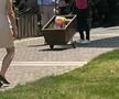 Căruțul buclucaș cu care a fost surprins Claudiu Răducanu