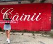 Mădălina Dumitru, prima femeie suporter care a scris o carte dedicată clubului preferat
