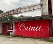 Mădălina Dumitru, prima femeie suporter care a scris o carte dedicată clubului preferat