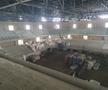 Sala Polivalentă Brașov - șantier august 2025