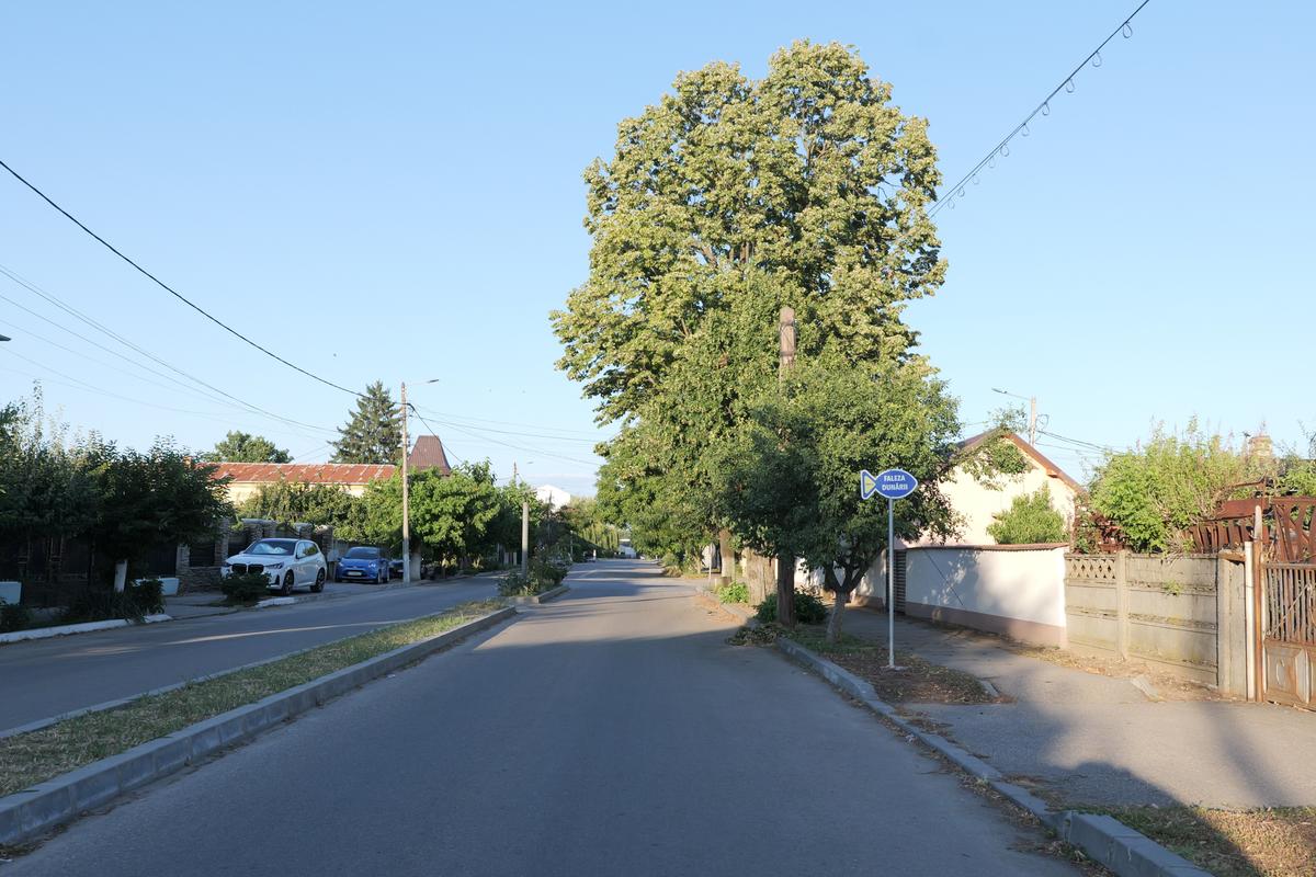 La 30 de ani de la moartea lui Ion Oblemenco, Gazeta a mers unde „se trăgeau clopotele când venea acasă”