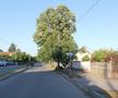Corabia, locul unde s-a născut Ion Oblemenco // foto: Andrei Furnigă (GSP)
