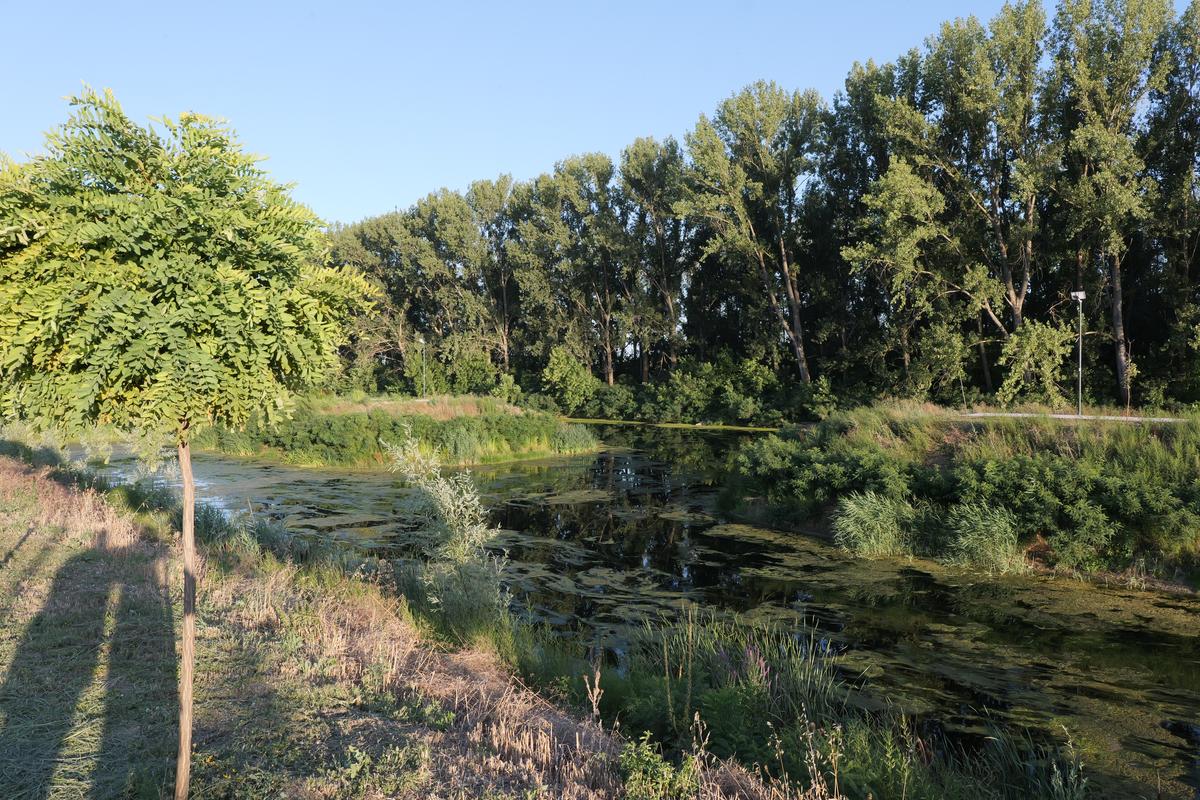La 30 de ani de la moartea lui Ion Oblemenco, Gazeta a mers unde „se trăgeau clopotele când venea acasă”