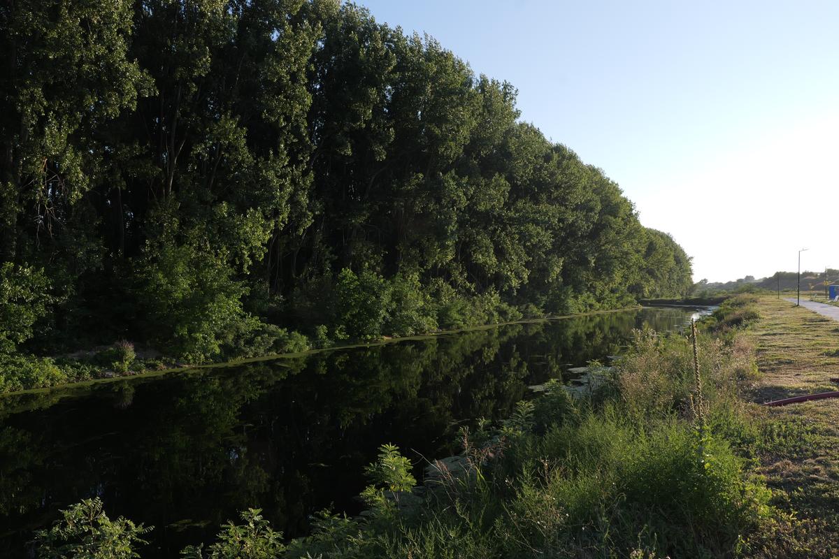 La 30 de ani de la moartea lui Ion Oblemenco, Gazeta a mers unde „se trăgeau clopotele când venea acasă”