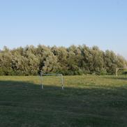 Corabia, locul unde s-a născut Ion Oblemenco // foto: Andrei Furnigă (GSP)