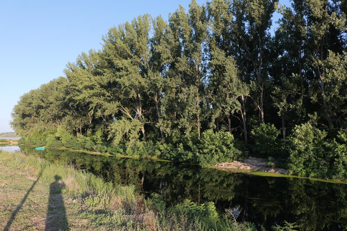 La 30 de ani de la moartea lui Ion Oblemenco, Gazeta a mers unde „se trăgeau clopotele când venea acasă”