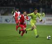 DINAMO - FCSB - evergreen