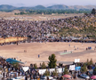 Cricket în Afghanistan