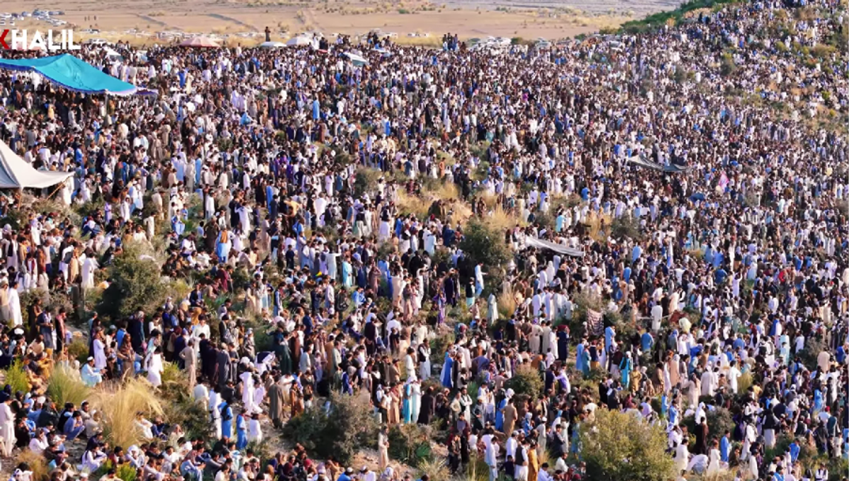 Cricket în Afghanistan