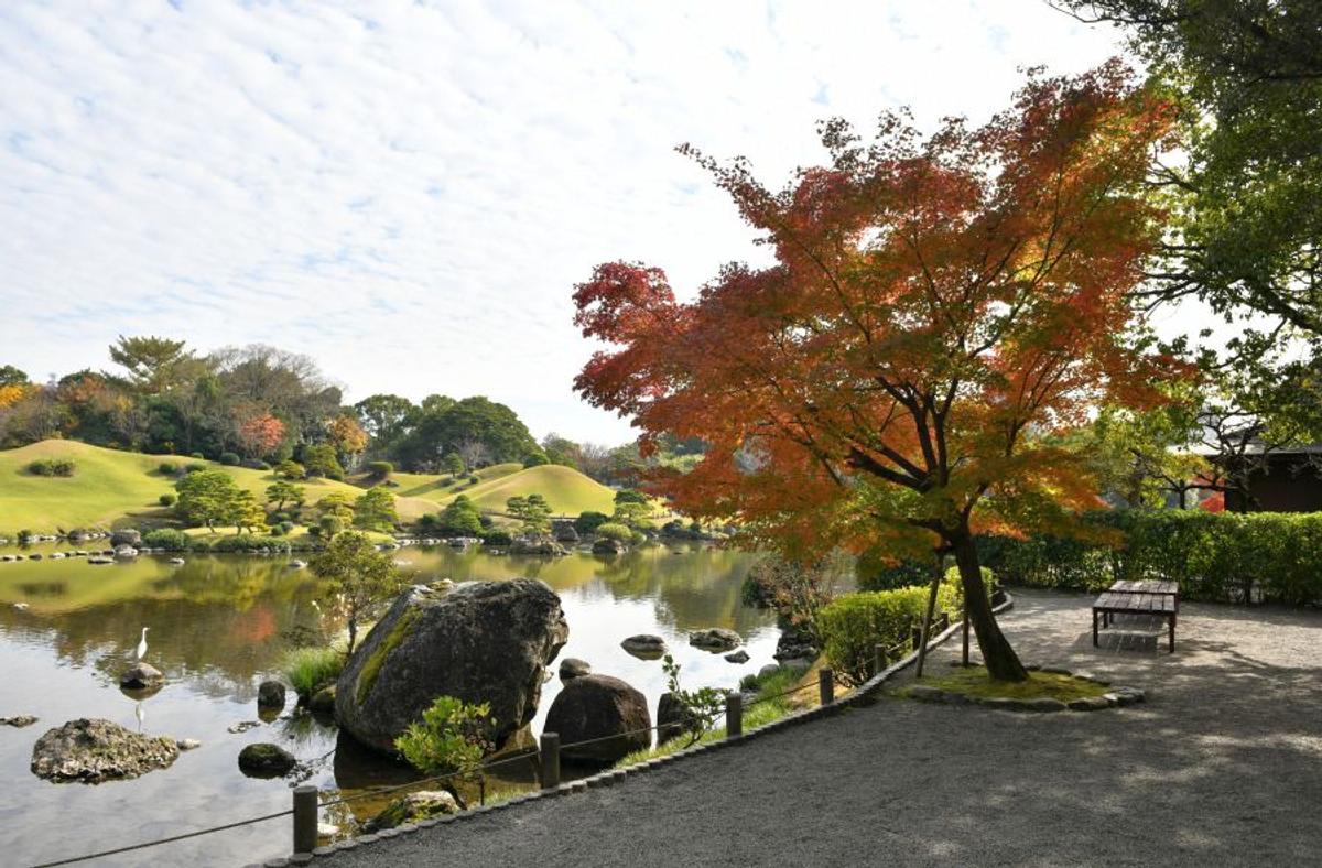 CORESPONDENȚĂ DIN JAPONIA // Elevii japonezi încurajează Senegalul în meciul cu România