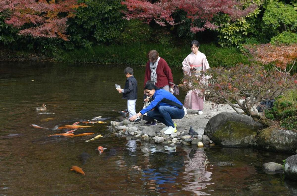 Parc în Japonia