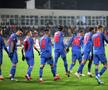 Imagini din FC Botoșani - FCSB / Sursă foto: Ionuț Tăbultoc
