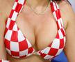 Fane Croatia - Belgia