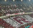 Scenografia suporterilor de la Rapid în meciul cu FCSB/ Foto: GSP