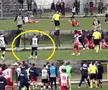 Bătaie generală la Steaua Roșie - Partizan! // foto: sportal.rs