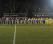 Unirea Slobozia - Rapid, etapa 29 din Superliga // FOTO: Andrei Furnigă (GSP.ro)