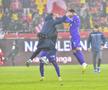 Dinamo - FC Argeș // foto: Cristi Preda (GSP)