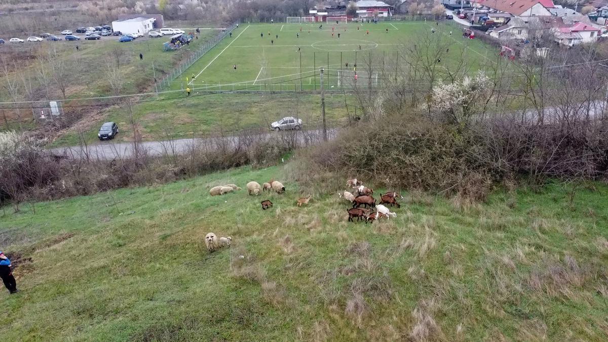 Aurică a lu' Purcaru din Adânca a jucat contra lui Dobrin! » Vedeta „Raj Kapur” a explicat cum se „antrenează”: „La cât am băut aseară, mă mir că mai sunt viu”