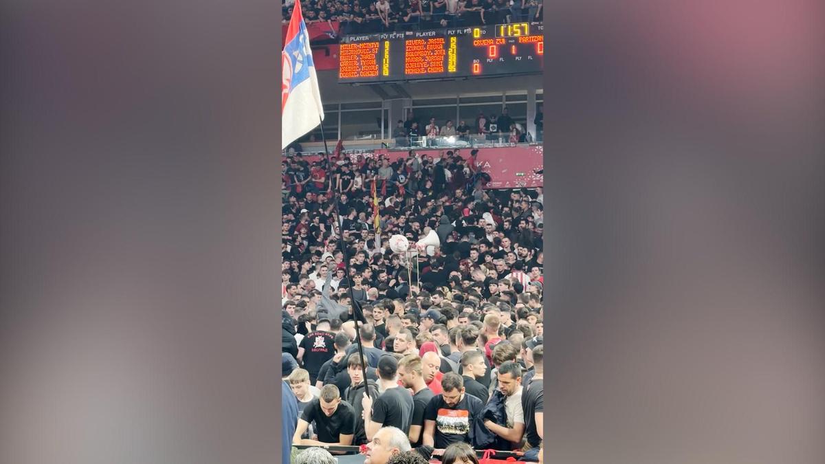 Imagini cu momentele violente petrecute înainte de Steaua Roșie Belgrad - Partizan