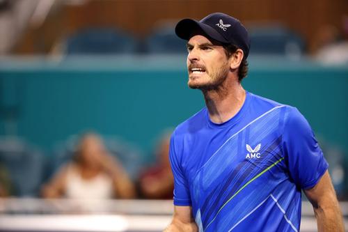Andy Murray
Foto: Imago